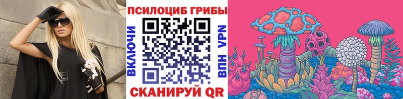Псилоцибиновые грибы мухоморы  мега маркетплейс  Эртиль 